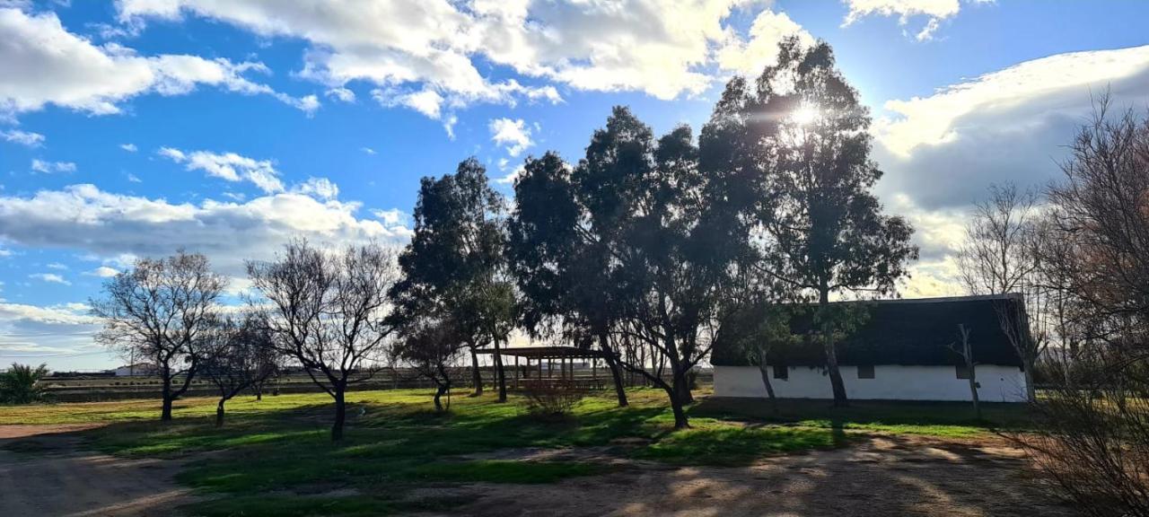 Alojamiento Lo Trabucador El Poble Nou del Delta Exteriör bild